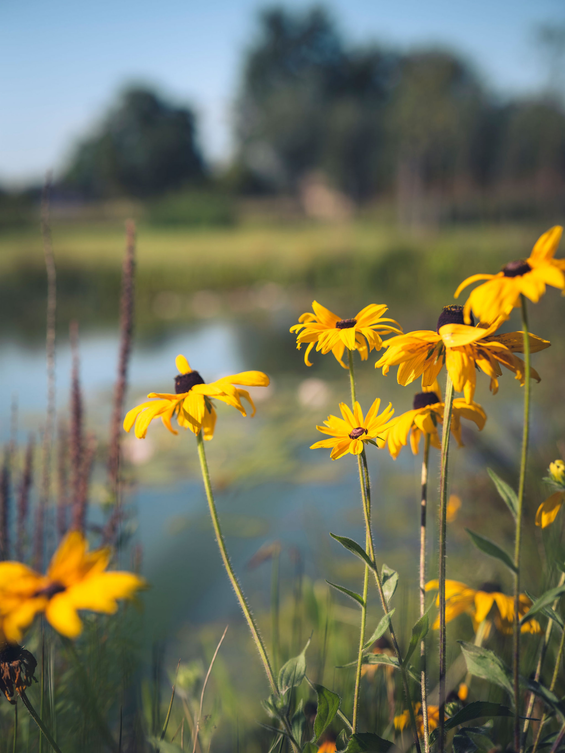 Eersel – Heibloem 18